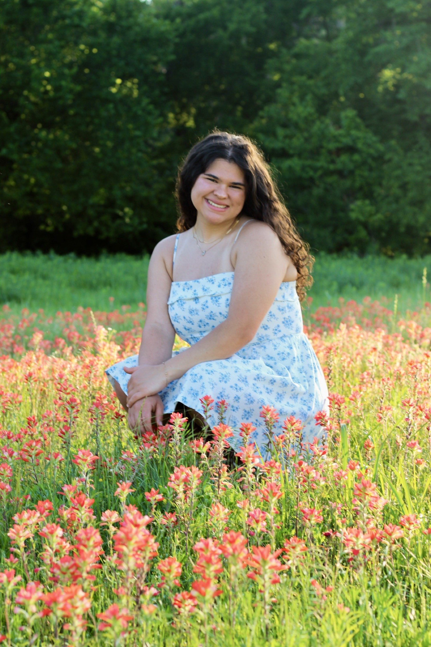 A high school senior in a blue floral dress kneeling in a field of orange Indian paintbrush at golden hour.